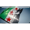 syria logo