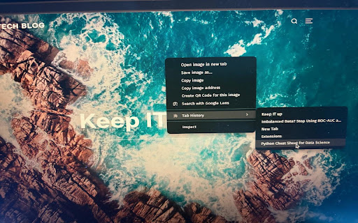 Tab History in Context Menu screenshot 1