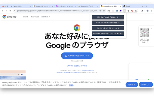 Tab Organizer screenshot 1