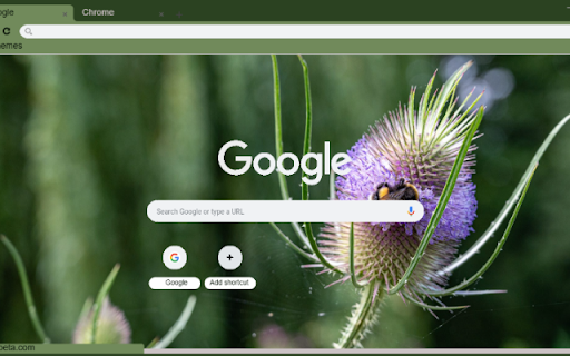 Teasel screenshot 1