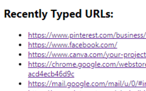 TechGainz URL History screenshot 1