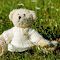 Teddy bear on the grass logo