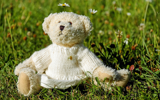 Teddy bear on the grass screenshot 1