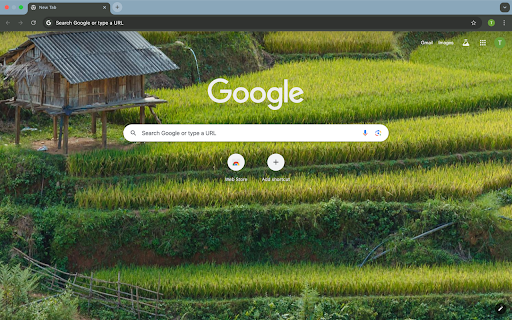 terraced fields screenshot 1