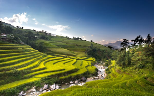 Terraced fields on the hills screenshot 1