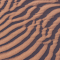 Terraced Sand Dunes logo