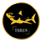 Terus Technology logo