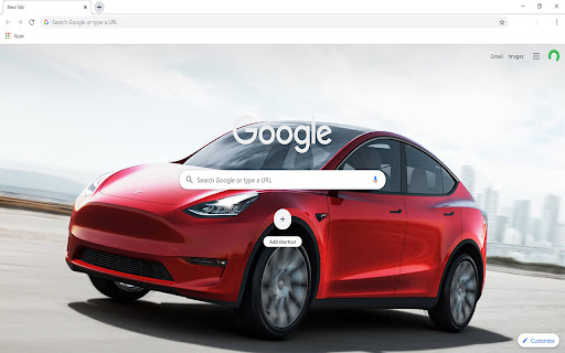 Tesla Model Y screenshot 1