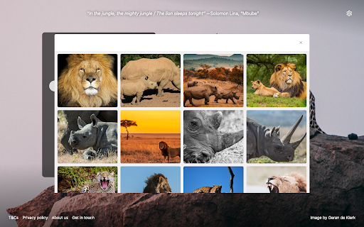 The Big 5 screenshot 1