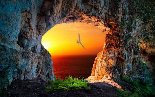 The cave and the sunlight screenshot 1