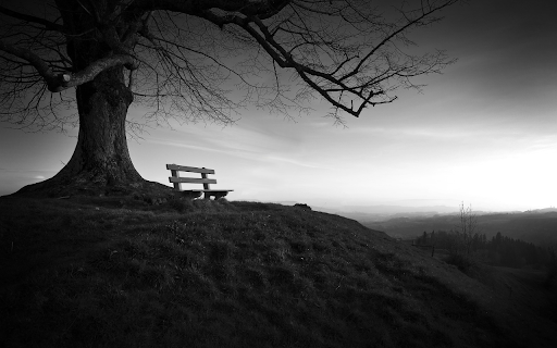 The chair next to the tree screenshot 1