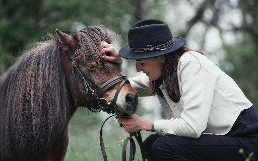 The girl and the good horse screenshot 1