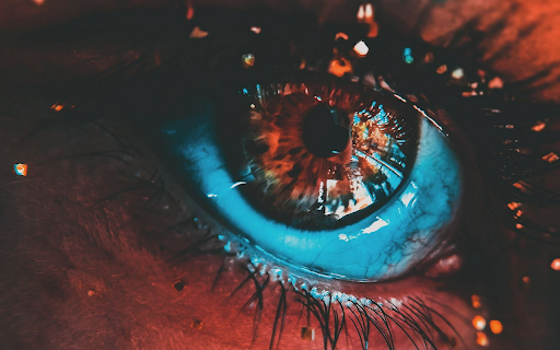 The Light in the Eyes screenshot 1