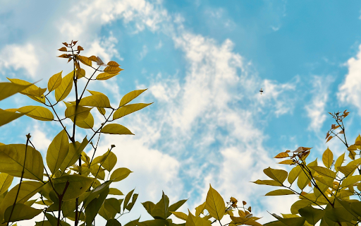 The sky is clear and high screenshot 1