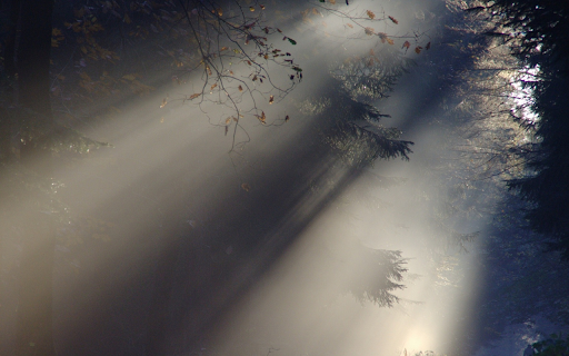 The sun chases away the dew screenshot 1