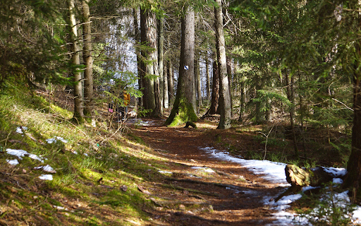 The sun is shining and the snow is melting screenshot 1