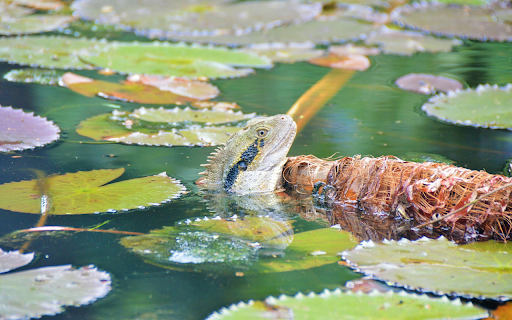 The thorny dragon under the gun lake screenshot 1