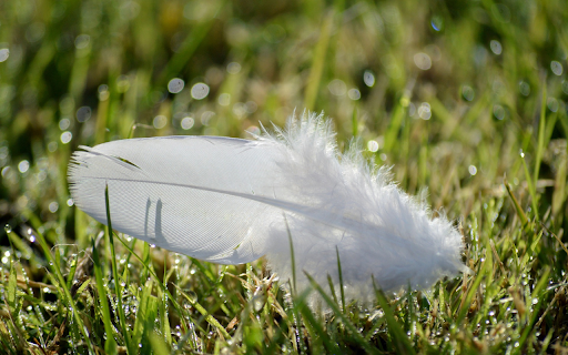 The white feather falls screenshot 1