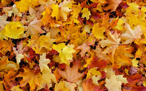 ThemeBeta.com screenshot 1