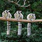 three ring tailed lemurs wallpaper logo