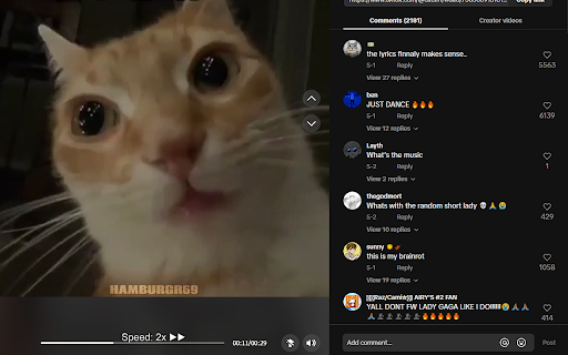 TikTok 2x Speed Option screenshot 1
