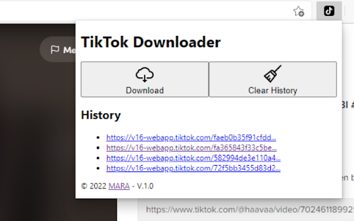 TikTok Downloader screenshot 1