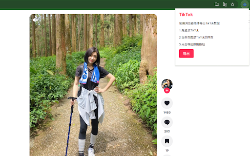 TikTok Extension screenshot 1