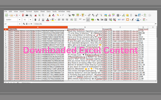 TikTok Video Exporter screenshot 1