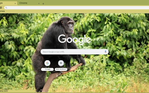 Tinh Tinh screenshot 1