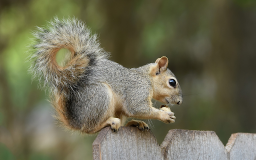 Tiny Acrobat screenshot 1