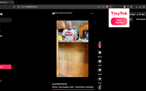 TinyTok screenshot 1