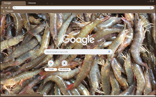 Tom dat screenshot 1