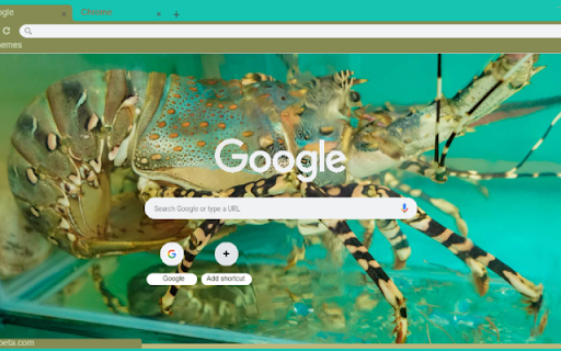 Tom Hum Xanh screenshot 1