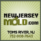 Toms River Mold Remediation logo