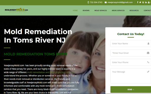 Toms River Mold Remediation screenshot 1
