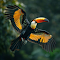 Toucan bird wallpaper logo