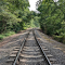 Train track through the forest logo