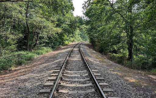 Train track through the forest screenshot 1