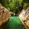 Tranquil Green Creek in Rocky Forest Canyon logo