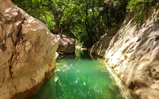 Tranquil Green Creek in Rocky Forest Canyon screenshot 1