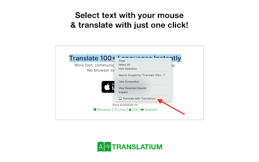 Translate with Translatium screenshot 1