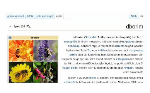 translit screenshot 1