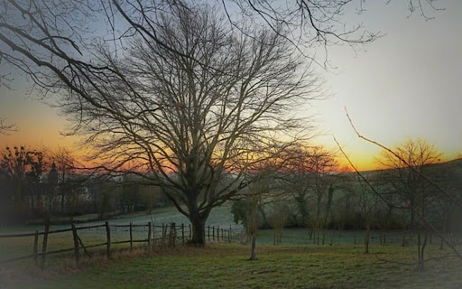 TREE 3 Theme screenshot 1