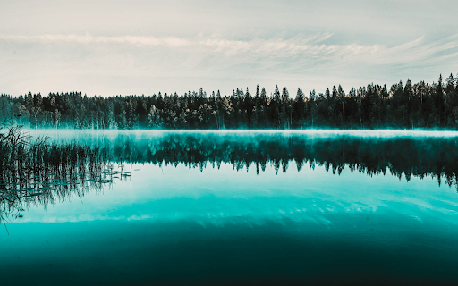 Trees by the lake screenshot 1