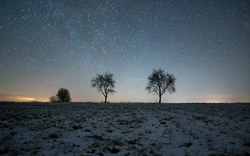 Trees Theme screenshot 1