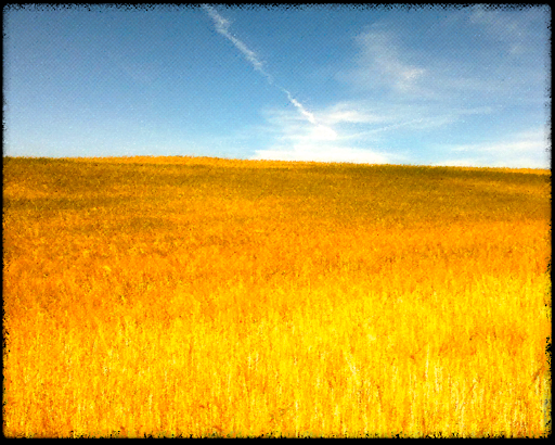 Trigo1280x1024 screenshot 1