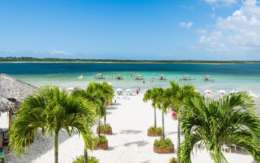 Tropical Paradise Theme screenshot 1