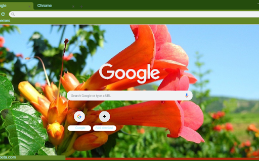 Trumpet Vine screenshot 1