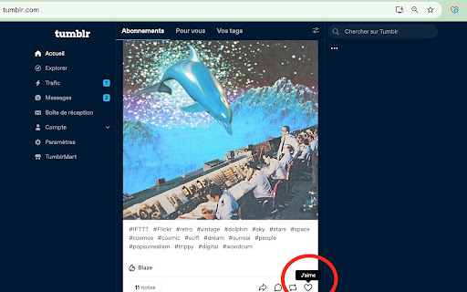 Tumblr Img Saver screenshot 1