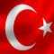Turkish Flag Theme logo